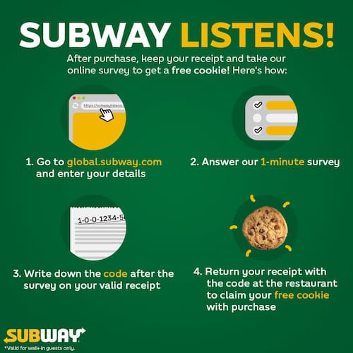 Subway survey questions
