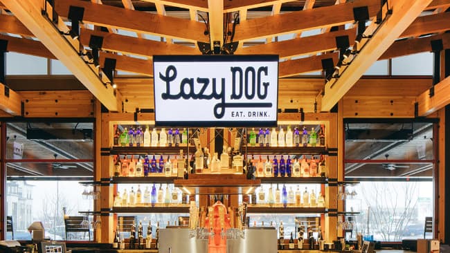 lazy dog lunch hours