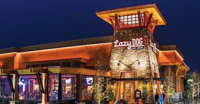 lazy dog restaurant locations